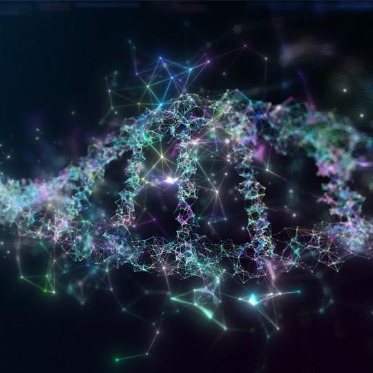 Skin Gene Sets